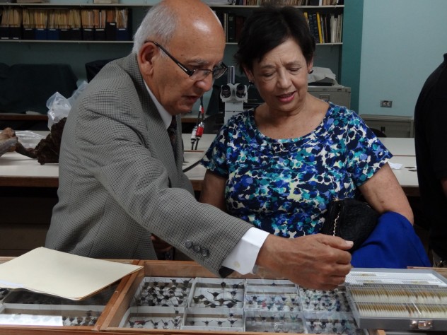 Ministra de Cultura, Elizabeth Fonseca, examina parte de las colecciones entregadas al Museo Nacional